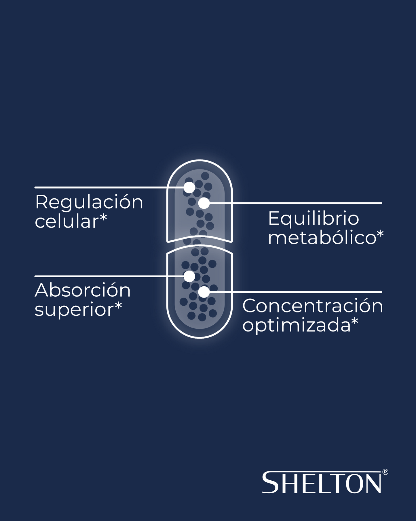 NAD+ Complete Shelton suplemento de energía celular