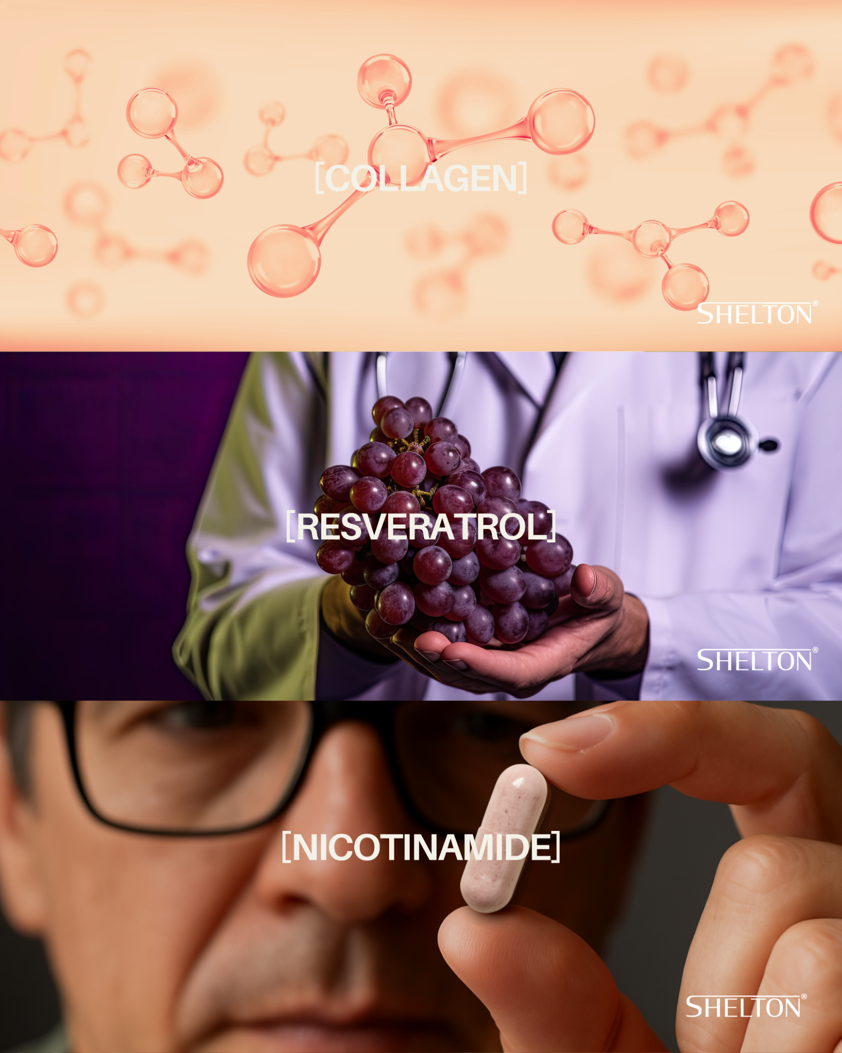NAD+ Complete Shelton con resveratrol y colágeno